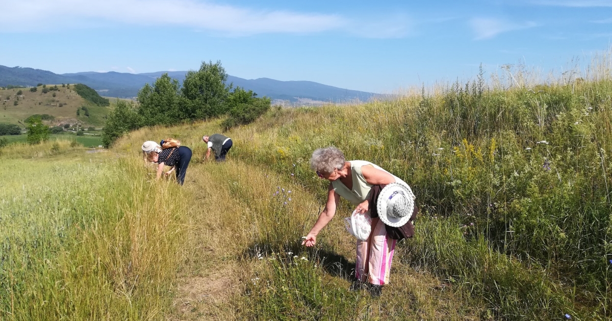 Zöld séta a Providentia Idősek Központjával